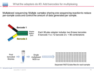 Sample to Insight
14
Barcode 1
Each 96-plex adapter includes two 8-base barcodes
8 barcode 1’s x 12 barcode 2’s = 96 combinations
Pool
barcoded
libraries
Single
multiplexed
NGS run
Demultiplexing
fastq fastq fastq fastq fastq fastq fastq fastq fastq fastq fastq fastq
fastq fastq fastq fastq fastq fastq fastq fastq fastq fastq fastq fastq
fastq fastq fastq fastq fastq fastq fastq fastq fastq fastq fastq fastq
fastq fastq fastq fastq fastq fastq fastq fastq fastq fastq fastq fastq
fastq fastq fastq fastq fastq fastq fastq fastq fastq fastq fastq fastq
fastq fastq fastq fastq fastq fastq fastq fastq fastq fastq fastq fastq
fastq fastq fastq fastq fastq fastq fastq fastq fastq fastq fastq fastq
fastq fastq fastq fastq fastq fastq fastq fastq fastq fastq fastq fastq
Separate FASTQ data files for each sample
Multiplexed sequencing: Multiple samples sharing one sequencing reaction to reduce
per-sample costs and control the amount of data generated per sample.
Adapter
ligation
point
What the adapters do #3: Add barcodes for multiplexing
Intro to NGS, 11.30.2016
 