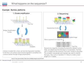 Sample to Insight
20
Example: Illumina platforms
1. Cluster amplification 2. Sequencing
What happens on the sequencer?
Intro to NGS, 11.30.2016
Source: Cram genomics http://www.cram.com/flashcards/genomics-6416574
 