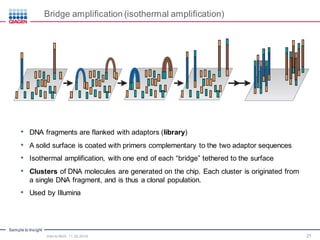 Sample to Insight
• DNA fragments are flanked with adaptors (library)
• A solid surface is coated with primers complementary to the two adaptor sequences
• Isothermal amplification, with one end of each “bridge” tethered to the surface
• Clusters of DNA molecules are generated on the chip. Each cluster is originated from
a single DNA fragment, and is thus a clonal population.
• Used by Illumina
21
Bridge amplification (isothermal amplification)
Intro to NGS, 11.30.2016
 