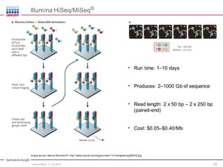 Sample to Insight
• Run time: 1–10 days
• Produces: 2–1000 Gb of sequence
• Read length: 2 x 50 bp – 2 x 250 bp
(paired-end)
• Cost: $0.05–$0.40/Mb
22
Illumina HiSeq/MiSeq®
Intro to NGS, 11.30.2016
Image source: Nature Reviews 11. http://www.nature.com/nrg/journal/v11/n1/images/nrg2626-f2.jpg
 