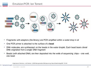 Sample to Insight
• Fragments with adaptors (the library) are PCR amplified within a water drop in oil
• One PCR primer is attached to the surface of a bead
• DNA molecules are synthesized on the beads in the water droplet. Each bead bears clonal
DNA originated from a single DNA fragment
• Beads (with attached DNA) are then deposited into the wells of sequencing chips – one well,
one bead
24
Emulsion PCR: Ion Torrent
Intro to NGS, 11.30.2016
Image source: Shendure, J. and Hanlee, J. (2008) Next-generation DNA sequencing. Nature Biotechnology 26, 1135–45.
 