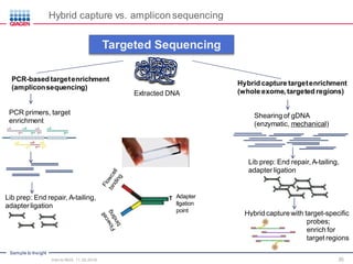 Sample to Insight
35
Targeted Sequencing
PCR-based target enrichment
(amplicon sequencing)
Hybrid capture target enrichment
(whole exome, targeted regions)
Lib prep: End repair, A-tailing,
adapter ligation
PCR primers, target
enrichment
Adapter
llgation
point
T
Shearing of gDNA
(enzymatic, mechanical)
Lib prep: End repair, A-tailing,
adapter ligation
Hybrid capture with target-specific
probes;
enrich for
target regions
Extracted DNA
Hybrid capture vs. amplicon sequencing
Intro to NGS, 11.30.2016
 