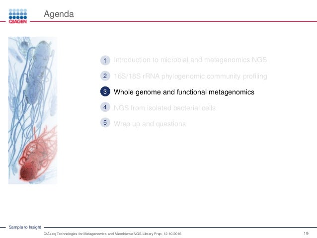 QIAseq Technologies for Metagenomics and Microbiome NGS QIAseq Technologies for Metagenomics and Microbiome NGS