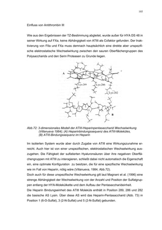 105




Einfluss von Antithrombin III


Wie aus den Ergebnissen der TZ-Bestimmung abgleitet, wurde außer für HYA DS 48 in
seiner Wirkung auf FXa, keine Abhängigkeit von ATIII als Cofaktor gefunden. Der Inak-
tivierung von FIIa und FXa muss demnach hauptsächlich eine direkte aber unspezifi-
sche elektrostatische Wechselwirkung zwischen den sauren Oberflächengruppen des
Polysaccharids und den Serin Proteasen zu Grunde liegen.




                           A



                                       Lys-289       Lys-286

                                                               Lys-282



                                1
                                       2              4        5
                                                 3
                                                                   B



Abb.72: 3-dimensionales Modell der ATIII-Heparinpentasaccharid Wechselwirkung
        (Villanueva 1984); (A) Heparinbindungssequenz des ATIII-Moleküles,
        (B) ATIII-Bindungssequenz im Heparin

Im isolierten System wurde aber durch Zugabe von ATIII eine Wirkungszunahme er-
reicht. Auch hier ist von einer unspezifischen, elektrostatischen Wechselwirkung aus-
zugehen. Die Fähigkeit der sulfatierten Hyaluronsäuren über ihre negativen Oberflä-
chengruppen mit ATIII zu interagieren, schließt dabei nicht automatisch die Eigenschaft
ein, eine optimale Konfiguration zu besitzen, die für eine spezifische Wechselwirkung
wie im Fall von Heparin, nötig wäre (Villanueva, 1984, Abb.72).
Doch auch für diese unspezifische Wechselwirkung gilt laut Magnani et al. (1996) eine
strenge Abhängigkeit der Wechselwirkung von der Anzahl und Position der Sulfatgrup-
pen entlang der HYA-Molekülkette und dem Aufbau der Pentasaccharideinheit.
Die Heparin Bindungseinheit des ATIII Moleküls enthält in Position 289, 286 und 282
die basische AS Lysin. Über diese AS wird das Heparin-Pentasaccharid (Abb. 73) in
Position 1 (6-O-Sulfat), 3 (2-N-Sulfat) und 5 (2-N-Sulfat) gebunden.
 