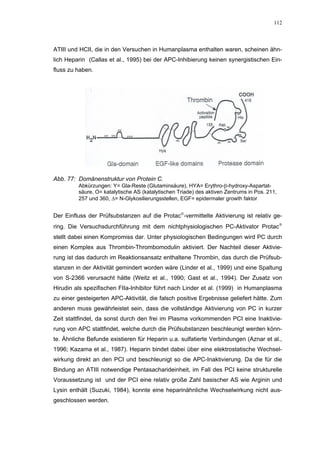 112




ATIII und HCII, die in den Versuchen in Humanplasma enthalten waren, scheinen ähn-
lich Heparin (Callas et al., 1995) bei der APC-Inhibierung keinen synergistischen Ein-
fluss zu haben.




Abb. 77: Domänenstruktur von Protein C.
         Abkürzungen: Y= Gla-Reste (Glutaminsäure), HYA= Erythro-β-hydroxy-Aspartat-
         säure, O= katalytische AS (katalytischen Triade) des aktiven Zentrums in Pos. 211,
         257 und 360, ∆= N-Glykosilierungsstellen, EGF= epidermaler growth faktor


Der Einfluss der Prüfsubstanzen auf die Protac-vermittelte Aktivierung ist relativ ge-
ring. Die Versuchsdurchführung mit dem nichtphysiologischen PC-Aktivator Protac
stellt dabei einen Kompromiss dar. Unter physiologischen Bedingungen wird PC durch
einen Komplex aus Thrombin-Thrombomodulin aktiviert. Der Nachteil dieser Aktivie-
rung ist das dadurch im Reaktionsansatz enthaltene Thrombin, das durch die Prüfsub-
stanzen in der Aktivität gemindert worden wäre (Linder et al., 1999) und eine Spaltung
von S-2366 verursacht hätte (Weitz et al., 1990; Gast et al., 1994). Der Zusatz von
Hirudin als spezifischen FIIa-Inhibitor führt nach Linder et al. (1999) in Humanplasma
zu einer gesteigerten APC-Aktivität, die falsch positive Ergebnisse geliefert hätte. Zum
anderen muss gewährleistet sein, dass die vollständige Aktivierung von PC in kurzer
Zeit stattfindet, da sonst durch den frei im Plasma vorkommenden PCI eine Inaktivie-
rung von APC stattfindet, welche durch die Prüfsubstanzen beschleunigt werden könn-
te. Ähnliche Befunde existieren für Heparin u.a. sulfatierte Verbindungen (Aznar et al.,
1996; Kazama et al., 1987). Heparin bindet dabei über eine elektrostatische Wechsel-
wirkung direkt an den PCI und beschleunigt so die APC-Inaktivierung. Da die für die
Bindung an ATIII notwendige Pentasacharideinheit, im Fall des PCI keine strukturelle
Voraussetzung ist und der PCI eine relativ große Zahl basischer AS wie Arginin und
Lysin enthält (Suzuki, 1984), konnte eine heparinähnliche Wechselwirkung nicht aus-
geschlossen werden.
 
