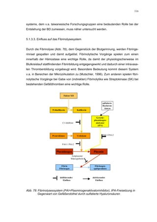 116




systems, dem v.a. taiwanesische Forschungsgruppen eine bedeutenden Rolle bei der
Entstehung der BD zumessen, muss näher untersucht werden.


5.1.3.3. Einfluss auf das Fibrinolysesystem


Durch die Fibrinolyse (Abb. 78), dem Gegenstück der Blutgerinnung, werden Fibringe-
rinnsel gespalten und damit aufgelöst. Fibrinolytische Vorgänge spielen zum einen
innerhalb der Hämostase eine wichtige Rolle, da damit der physiologischerweise im
Blutkreislauf stattfindenden Fibrinbildung entgegengewirkt und dadurch einer intravasa-
len Thrombenbildung vorgebeugt wird. Besondere Bedeutung kommt diesem System
v.a. in Bereichen der Mikrozirkulation zu (Mutschler, 1996). Zum anderen spielen fibri-
nolytische Vorgänge bei Gabe von (indirekten) Fibrinolytika wie Streptokinase (SK) bei
bestehenden Gefäßthromben eine wichtige Rolle.


                               Faktor XII


                                                                     sulfatierte
                                                                     Hyaluron-
                                                                       säuren
                    Präkallikrein             Kallikrein


                                                              Gewebe-
                                                            plasminogen-
                              C1-Inhibitor                    aktivator
                                                                (tPA)



                    Prourokinase              Urokinase              PAI-1/PAI-2



                              PAI-1/ PAI-2


                        Plasminogen                         Plasmin
                                        Antiplasmin/
                                        Makroglobulin


                             Fibrin                          Fibrinogen-
                           Fibrinogen                       spaltprodukte



                           inhibierender                   aktivierender
                              Einfluss                        Einfluss



Abb. 78: Fibrinolysessystem (PAI=Plasminogenaktivatorinhibitor), tPA-Freisetzung in
         Gegenwart von Gefäßendothel durch sulfatierte Hyaluronsäuren
 