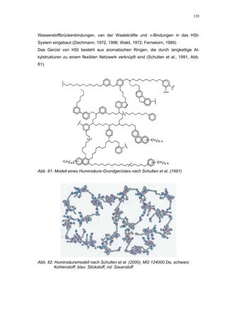 120




Wasserstoffbrückenbindungen, van der Waalskräfte und π-Bindungen in das HSt-
System eingebaut (Ziechmann, 1972, 1996; Wakil, 1972; Fernekorn, 1989)
Das Gerüst von HSt besteht aus aromatischen Ringen, die durch langkettige Al-
kylstrukturen zu einem flexiblen Netzwerk verknüpft sind (Schulten et al., 1991, Abb.
81).




Abb. 81: Modell eines Huminsäure-Grundgerüstes nach Schulten et al. (1991)




Abb. 82: Huminsäuremodell nach Schulten et al. (2000), MG 124000 Da, schwarz:
         Kohlenstoff, blau: Stickstoff, rot: Sauerstoff
 