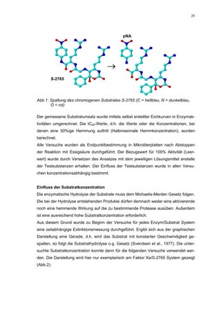 20




                                               pNA




                                      →
       S-2765




Abb.1: Spaltung des chromogenen Substrates S-2765 (C = hellblau, N = dunkelblau,
       O = rot)

Der gemessene Substratumsatz wurde mittels selbst erstellter Eichkurven in Enzymak-
tivitäten umgerechnet. Die IC50-Werte, d.h. die Werte oder die Konzentrationen, bei
denen eine 50%ige Hemmung auftritt (Halbmaximale Hemmkonzentration), wurden
berechnet.
Alle Versuche wurden als Endpunktbestimmung in Mikrotiterplatten nach Abstoppen
der Reaktion mit Essigsäure durchgeführt. Der Bezugswert für 100% Aktivität (Leer-
wert) wurde durch Versetzen des Ansatzes mit dem jeweiligen Lösungsmittel anstelle
der Testsubstanzen erhalten. Der Einfluss der Testsubstanzen wurde in allen Versu-
chen konzentrationsabhängig bestimmt.


Einfluss der Substratkonzentration
Die enzymatische Hydrolyse der Substrate muss dem Michaelis-Menten Gesetz folgen.
Die bei der Hydrolyse entstehenden Produkte dürfen demnach weder eine aktivierende
noch eine hemmende Wirkung auf die zu bestimmende Protease ausüben. Außerdem
ist eine ausreichend hohe Substratkonzentration erforderlich.
Aus diesem Grund wurde zu Beginn der Versuche für jedes Enzym/Substrat System
eine zeitabhängige Extinktionsmessung durchgeführt. Ergibt sich aus der graphischen
Darstellung eine Gerade, d.h. wird das Substrat mit konstanter Geschwindigkeit ge-
spalten, so folgt die Substrathydrolyse o.g. Gesetz (Svendsen et al., 1977). Die unter-
suchte Substratkonzentration konnte dann für die folgenden Versuche verwendet wer-
den. Die Darstellung wird hier nur exemplarisch am Faktor Xa/S-2765 System gezeigt
(Abb.2).
 