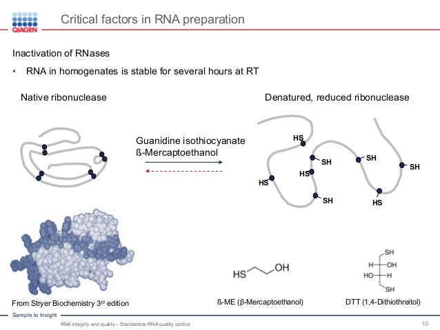 Rna Integrity And Quality Standardize Rna Quality Control