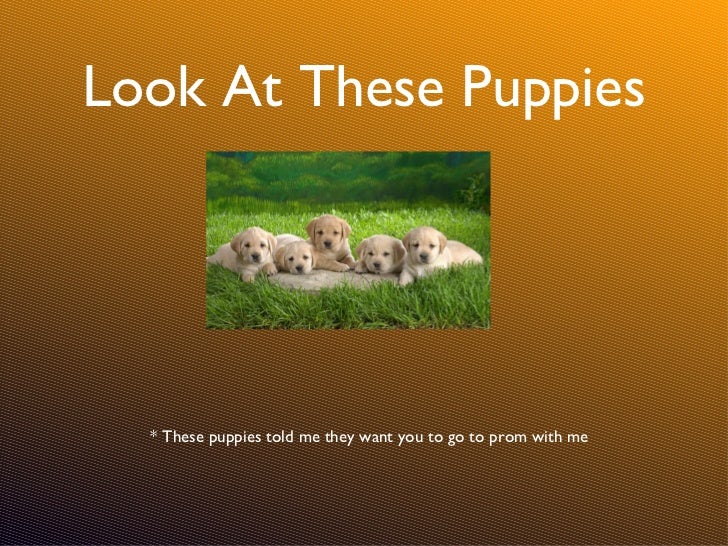 So Will You Go To Prom