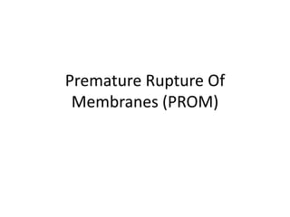 PROM.ppt