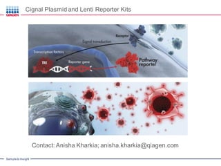 Sample to Insight
Contact: Anisha Kharkia; anisha.kharkia@qiagen.com
Cignal Plasmid and Lenti Reporter Kits
 