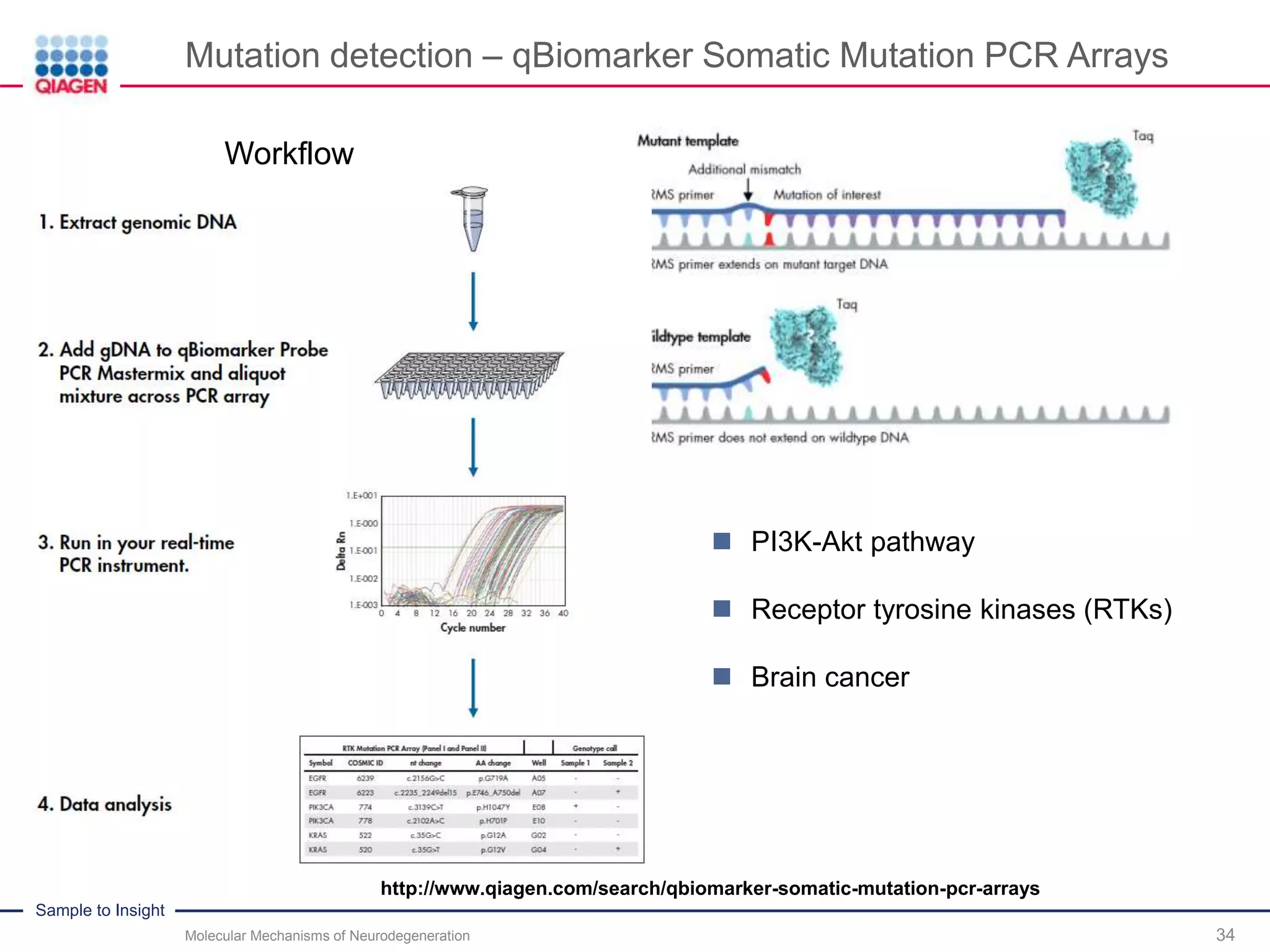 Molecular Mechanisms of Neurodegeneration: Neurodegenerative Disorders ...