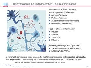 Molecular mechanism(s) of neurodegeneration in Niemann-Pick type C disease  - Ruđer Bošković Institute