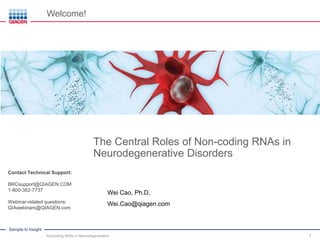 Sample to Insight
The Central Roles of Non-coding RNAs in
Neurodegenerative Disorders
Wei Cao, Ph.D.
Wei.Cao@qiagen.com
Noncoding RNAsin Neurodegeneration 1
Welcome!
Contact Technical Support:
BRCsupport@QIAGEN.COM
1-800-362-7737
Webinar-related questions:
QIAwebinars@QIAGEN.com
 