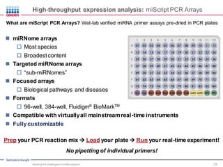 Meeting the challenges of miRNA research: miRNA and its Role in Human ...