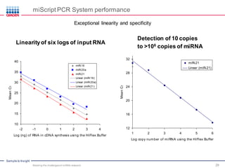 Meeting the challenges of miRNA research: miRNA and its Role in Human ...
