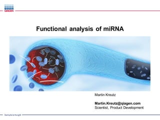 Sample to Insight
Functional analysis of miRNA
Martin Kreutz
Martin.Kreutz@qiagen.com
Scientist, Product Development
 