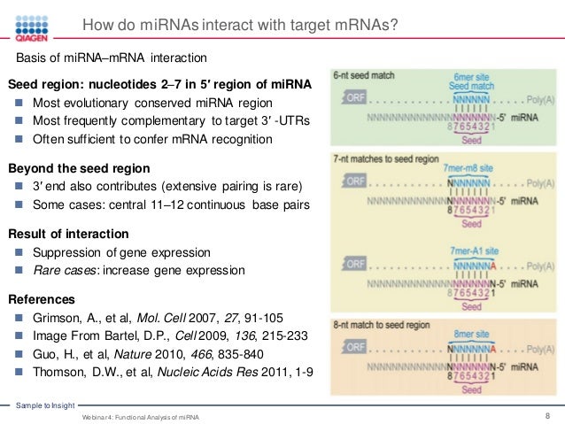 Functional Analysis Of Mirna Mirna And Its Role In Human Disease Web
