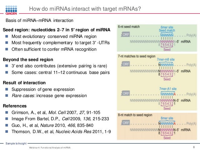 Functional Analysis Of Mirna Mirna And Its Role In Human Disease Web Functional Analysis Of Mirna Mirna And Its Role In Human Disease Web