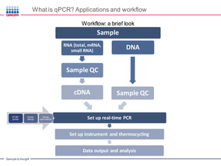 Introduction to Real Time PCR (Q-PCR/qPCR/qrt-PCR): qPCR Technology ...