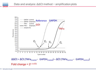 Introduction to Real Time PCR (Q-PCR/qPCR/qrt-PCR): qPCR Technology ...