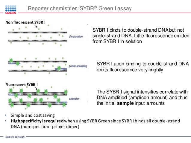 for q solution pcr PCR/qPCR/qrt PCR PCR): Time to (Q Real Introduction qPCR for q solution pcr PCR/qPCR/qrt PCR PCR): Time to (Q Real Introduction qPCR