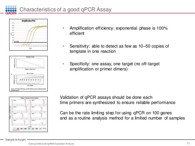 Advanced Real-Time PCR Array Technology – Coding and Noncoding RNA Ex…