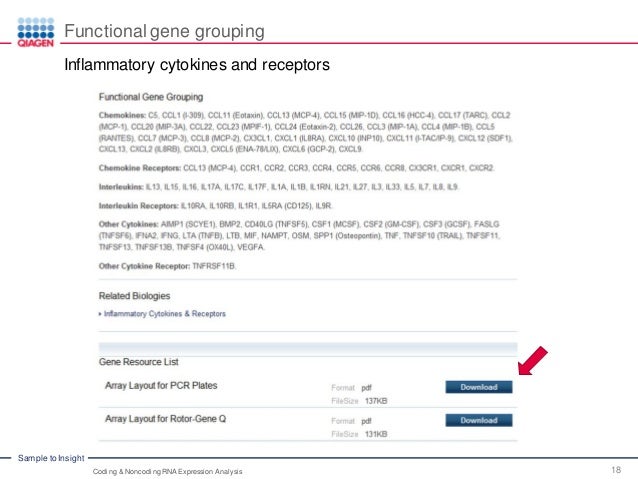 Download Rotor Gene 6000 Software Engineer