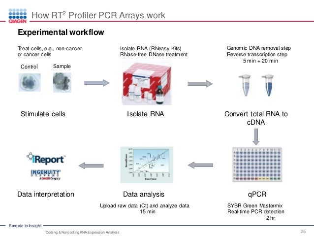Advanced Real-Time PCR Array Technology – Coding and Noncoding RNA Ex…