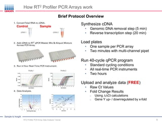 Pcr Loading. Sample PCR Array Data Analysis Tutorial: qPCR Technology Webinar Series Part 3 ...