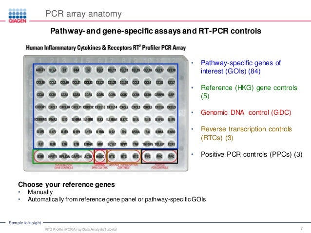 PCR Array Data Analysis Tutorial: qPCR Technology Webinar Series Part…
