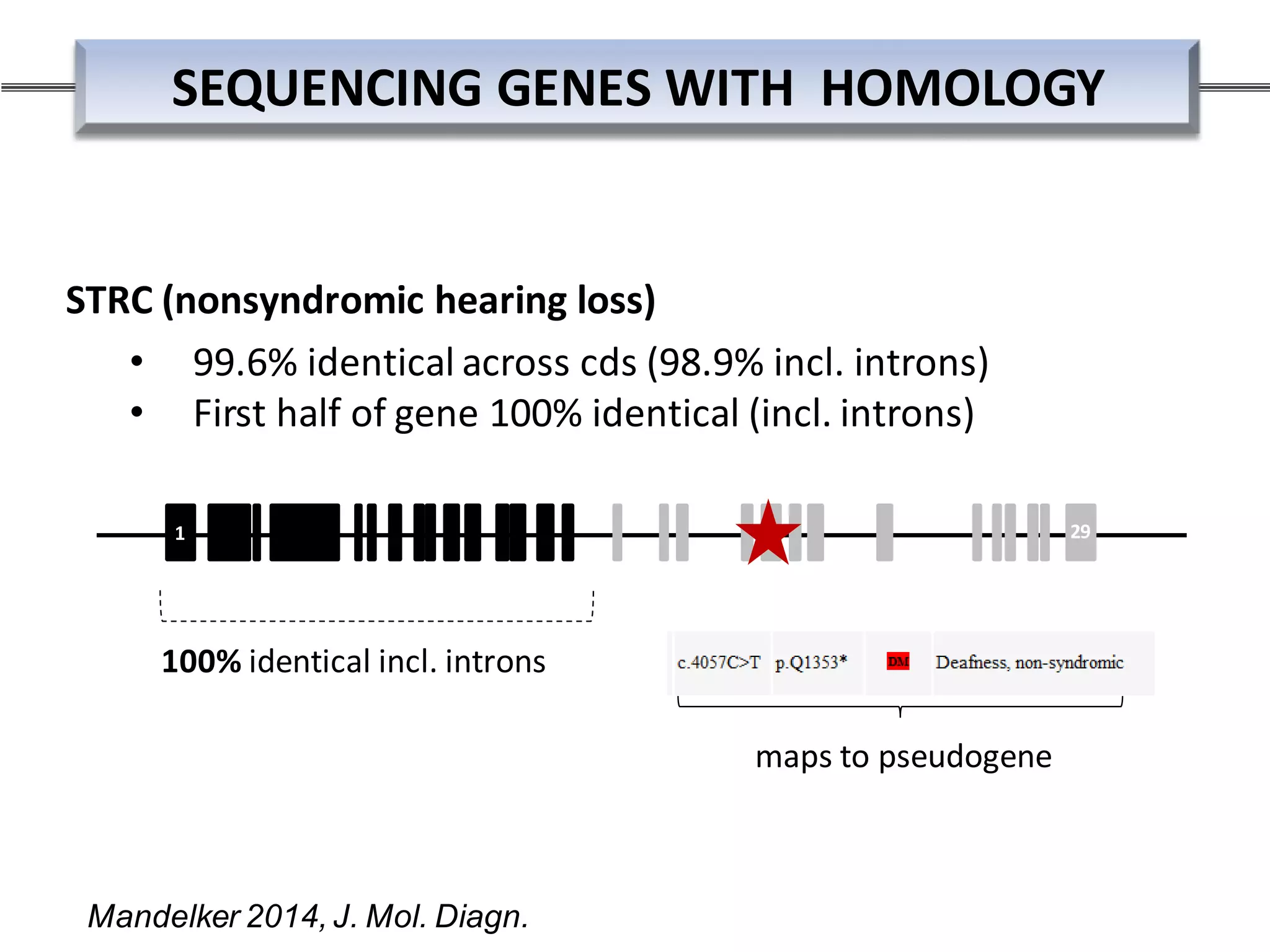 SEQUENCING GENES WITH HOMOLOGY
1
100% identical incl. introns
29
STRC (nonsyndromic hearing loss)
• 99.6% identical across cds (98.9% incl. introns)
• First half of gene 100% identical (incl. introns)
Mandelker 2014, J. Mol. Diagn.
maps to pseudogene
 