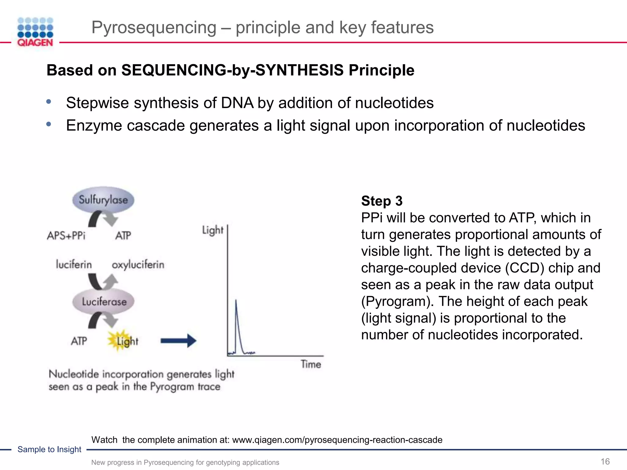 Sample to Insight
Pyrosequencing – principle and key features
New progress in Pyrosequencing for genotyping applications 16
Step 3
PPi will be converted to ATP, which in
turn generates proportional amounts of
visible light. The light is detected by a
charge-coupled device (CCD) chip and
seen as a peak in the raw data output
(Pyrogram). The height of each peak
(light signal) is proportional to the
number of nucleotides incorporated.
Watch the complete animation at: www.qiagen.com/pyrosequencing-reaction-cascade
.Based on SEQUENCING-by-SYNTHESIS Principle
• Stepwise synthesis of DNA by addition of nucleotides
• Enzyme cascade generates a light signal upon incorporation of nucleotides
 
