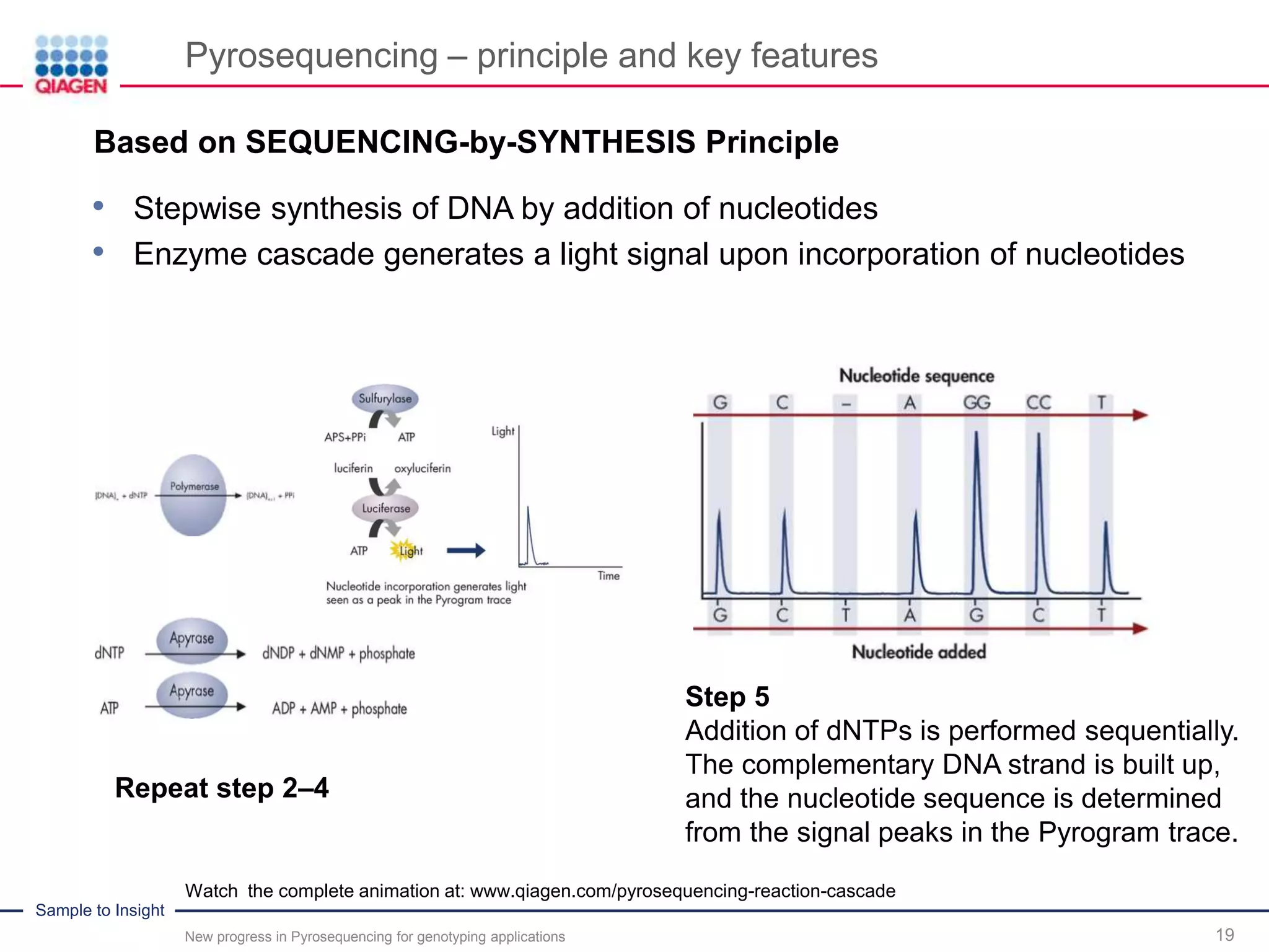 Sample to Insight
Pyrosequencing – principle and key features
New progress in Pyrosequencing for genotyping applications 19
Step 5
Addition of dNTPs is performed sequentially.
The complementary DNA strand is built up,
and the nucleotide sequence is determined
from the signal peaks in the Pyrogram trace.
Repeat step 2–4
Watch the complete animation at: www.qiagen.com/pyrosequencing-reaction-cascade
.Based on SEQUENCING-by-SYNTHESIS Principle
• Stepwise synthesis of DNA by addition of nucleotides
• Enzyme cascade generates a light signal upon incorporation of nucleotides
 