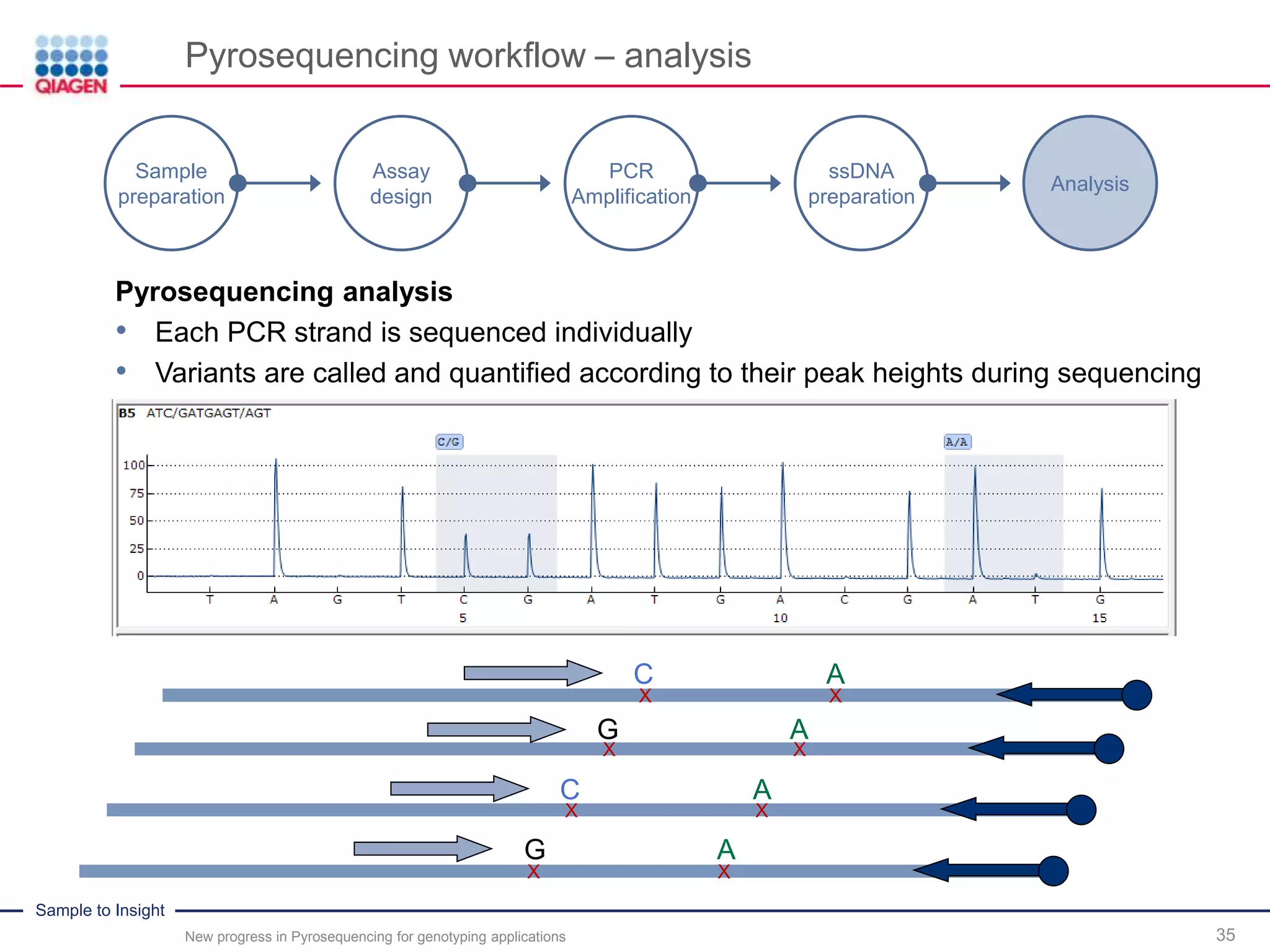 Sample to Insight
Pyrosequencing workflow – analysis
New progress in Pyrosequencing for genotyping applications 35
Pyrosequencing analysis
• Each PCR strand is sequenced individually
• Variants are called and quantified according to their peak heights during sequencing
Sample
preparation
Assay
design
PCR
Amplification
ssDNA
preparation
Analysis
C A
G A
C A
G A
X
X
X
X
X
X
X
X
 