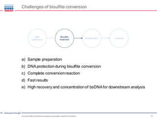Sample to Insight
Challenges of bisulfite conversion
Accurate DNA methylation analysisby successful bisulfite conversion 10
a) Sample preparation
b) DNA protection during bisulfite conversion
c) Complete conversionreaction
d) Fast results
e) High recovery and concentrationof bsDNAfor downstream analysis
DNA
purification
Bisulfite
treatment
Amplification Analysis
 