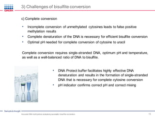 Sample to Insight
3) Challenges of bisulfite conversion
Accurate DNA methylation analysisby successful bisulfite conversion 15
c) Complete conversion
• Incomplete conversion of unmethylated cytosines leads to false positive
methylation results
• Complete denaturation of the DNA is necessary for efficient bisulfite conversion
• Optimal pH needed for complete conversion of cytosine to uracil
Complete conversion requires single-stranded DNA, optimum pH and temperature,
as well as a well-balanced ratio of DNA to bisulfite.
• DNA Protect buffer facilitates highly effective DNA
denaturation and results in the formation of single-stranded
DNA that is necessary for complete cytosine conversion
• pH indicator confirms correct pH and correct mixing
 