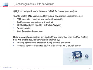 Sample to Insight
3) Challenges of bisulfite conversion
Accurate DNA methylation analysisby successful bisulfite conversion 18
e) High recovery and concentration of bsDNA for downstream analysis
Bisulfite treated DNA can be used for various downstream applications, e.g.:
• PCR: end-point, real-time, and methylation-specific
• Bisulfite sequencing (direct and cloning)
• COBRA (Combined Bisulfite Restriction Analysis)
• Pyrosequencing
• Next Generation Sequencing
Reliable downstream analysis required sufficient amount of intact bsDNA. EpiTect
Fast Kits enable accurate downstream analysis by:
• ensuring optimal DNA protection during bisulfite conversion
• providing highly concentrated bsDNA in as little as 10 µl Elution Buffer
 