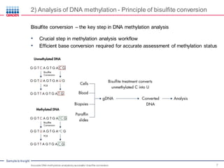 Sample to Insight
2) Analysis of DNA methylation - Principle of bisulfite conversion
Accurate DNA methylation analysisby successful bisulfite conversion 7
Bisulfite conversion – the key step in DNA methylation analysis
• Crucial step in methylation analysis workflow
• Efficient base conversion required for accurate assessment of methylation status
 