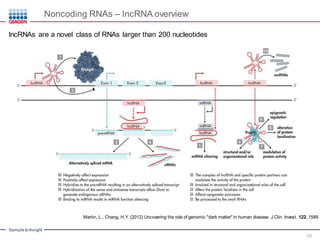 Noncoding RNAs in Cardiovascular Disease – Potential as Biomarkers and ...