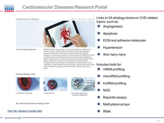 Noncoding RNAs in Cardiovascular Disease – Potential as Biomarkers and ...