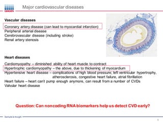 Noncoding RNAs in Cardiovascular Disease – Potential as Biomarkers and ...