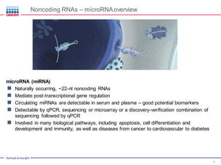 Noncoding RNAs in Cardiovascular Disease – Potential as Biomarkers and ...
