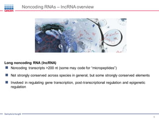 Noncoding RNAs in Cardiovascular Disease – Potential as Biomarkers and ...