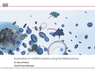 Sample to Insight
Automation of ccfDNA isolation using the QIAsymphony
Dr. Marco Polidori
Global Product Manager
1
 