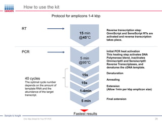 One Step Reverse Transcriptase One Step Ahead for Your RT-PCR | PDF