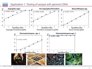 Sample to Insight
Application 1: Testing of assays with genomic DNA
26
y = 2.3205x + 28.295
20
25
30
35
40
0 1 2 3 4 5 6
CT
Log Dilution Factor
Aspergillus niger
y = 3.1124x + 19.776
20
25
30
35
40
0 1 2 3 4 5 6
CT
Log Dilution Factor
Mucor/Rhizopus spp.
y = 2.5678x + 26.308
20
25
30
35
40
0 1 2 3 4 5 6
CT
Log Dilution Factor
Pan Aspergillus/Penicillium
y = 2.5111x + 18.293
20
25
30
35
40
0 1 2 3 4 5 6
CT
Log Dilution Factor
Thermoactinomyces spp. 1
y = -0.0137x + 39.881
20
25
30
35
40
0 1 2 3 4 5 6
CT
Log Dilution Factor
Thermoactinomyces spp. 2
Aspergillus brasiliensis gDNA Penicillium chrysogenum gDNA Mucor hiemalis gDNA
Thermoactinomyces vulgaris gDNA Thermoactinomyces vulgaris gDNA
Pathogen detection with HRM and multiplex RT-qPCR
 