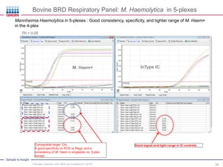 Sample to Insight
Comparable target Cts.
A good specificity on POS vs Negs; and a
consistency of M. Haem in singleplex vs. 5-plex
assays.
Mannheimia Haemolytica in 5-plexes : Good consistency, specificity, and tighter range of M. Haem+
in the 4-plex
TH = 0.05
Good signal and tight range in IC controls.
InType ICM. Haem+
Bovine BRD Respiratory Panel: M. Haemolytica in 5-plexes
Pathogen detection with HRM and multiplex RT-qPCR 34
 