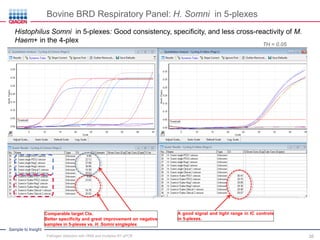 Sample to Insight
Comparable target Cts.
Better specificity and great improvement on negative
samples in 5-plexes vs. H. Somni singleplex
Histophilus Somni in 5-plexes: Good consistency, specificity, and less cross-reactivity of M.
Haem+ in the 4-plex
TH = 0.05
A good signal and tight range in IC controls
in 5-plexes.
Bovine BRD Respiratory Panel: H. Somni in 5-plexes
Pathogen detection with HRM and multiplex RT-qPCR 35
 